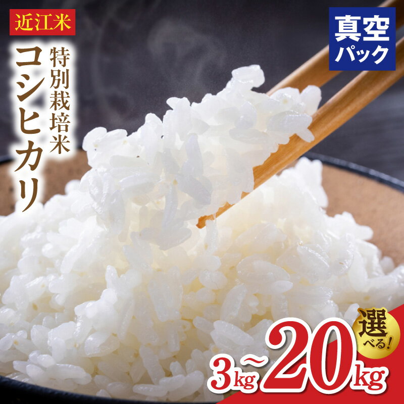楽天滋賀県守山市【ふるさと納税】令和8年 先行予約 近江米 コシヒカリ 選べる 容量 3キロ ～ 20キロ 特別栽培米 真空梱包 こだわり ミネラル 地下水 香り ツヤツヤ ふっくら おにぎり 美味しい 米 お米 長期保存 備蓄用 お取り寄せ 滋賀県 守山市 送料無料