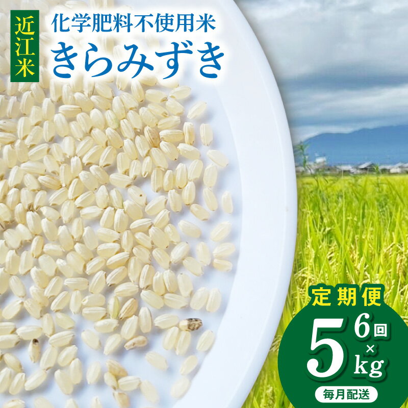 令和8年 先行予約 新米 近江米 きらみずき 5kg 6回 定期便 ブレスパック 鮮度保持袋 こだわり みずみずしい 大粒 甘さ 広がる ツヤツヤ 大粒 ふっくら 食感 美味しい 国産 貴重 米 お米 ご飯 守里ファーム お取り寄せ 滋賀県 守山市 送料無料