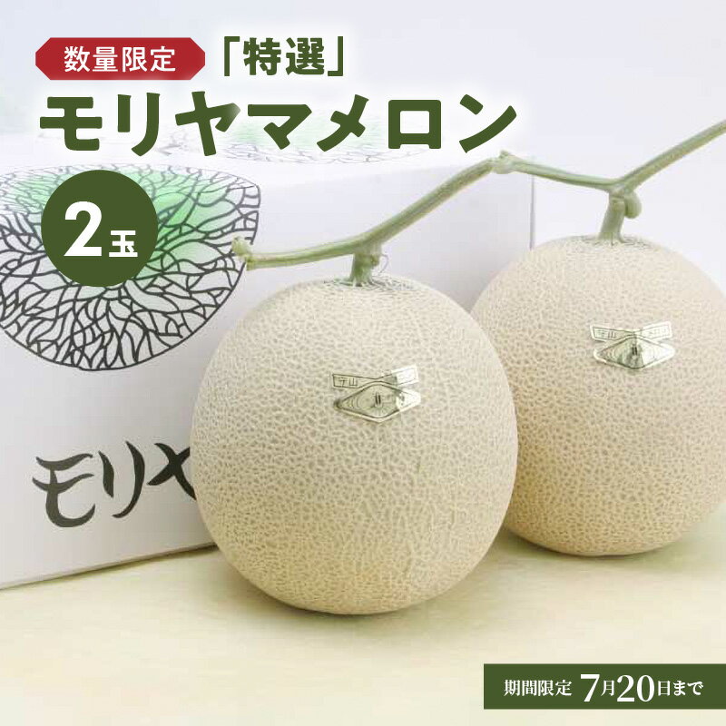 【ふるさと納税】地元で行列ができるメロン ☆先行予約☆【数量限定】特選 モリヤマメロン 2玉 アールスメロン 期間限定 守山産 メロン 果物 果肉 フルーツ デザート スイーツ ブランド 濃厚 特産品 国産 ギフト お取り寄せ グルメ 滋賀県 守山市 送料無料のサムネイル