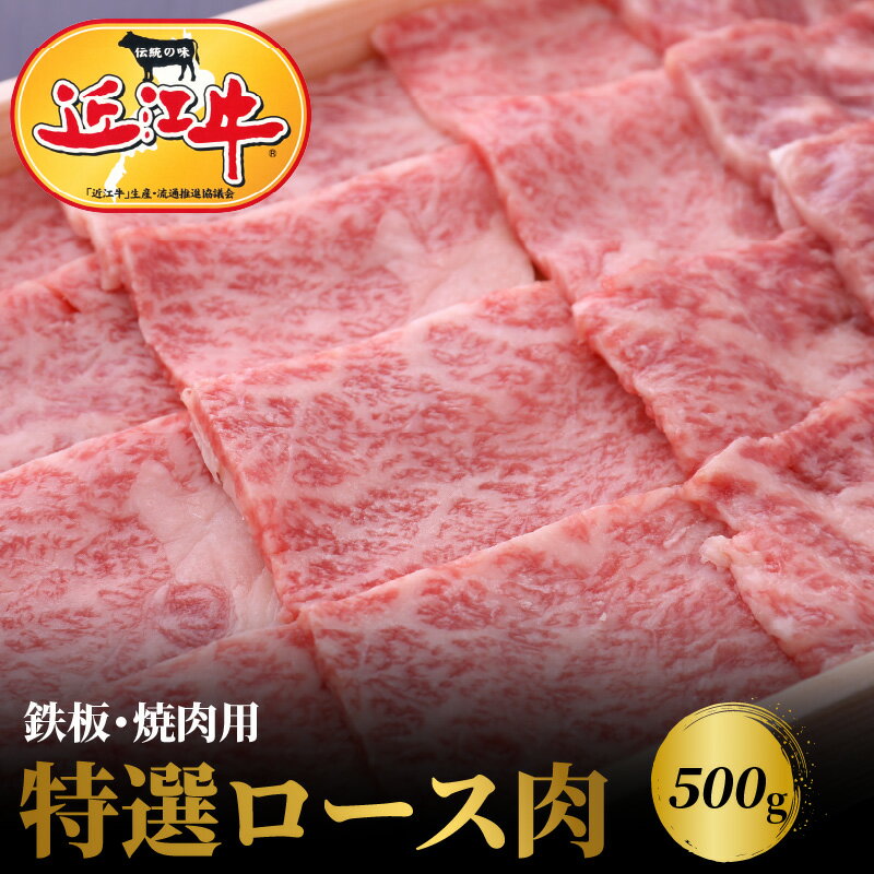 [冷蔵でお届け可] 近江牛 焼肉用 特選 ロース 肉 500g 牛肉 霜降り 一頭買い 香り 味わい 歯ごたえ 柔らか とろける サシ ギフト 贈答 お土産 手土産 冷蔵 日時指定 お取り寄せ グルメ バーベキュー BBQ パーティー お取り寄せ グルメ 送料無料