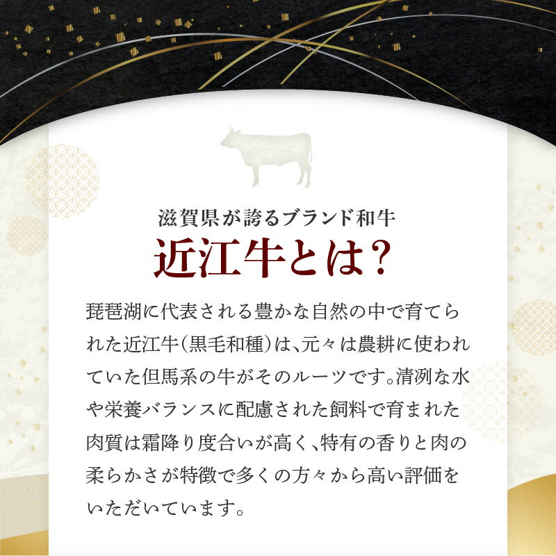 【ふるさと納税】近江牛 カルビ 万能スライス 合計1,000g (500g×2パック) 切り落とし お肉 牛肉 グルメ ブランド牛 食べ物 食品 和牛 誕生日 プレゼント ギフト おすすめ 人気 お取り寄せ 贈り物 特産品 お礼の品 冷凍 国産 送料無料 3