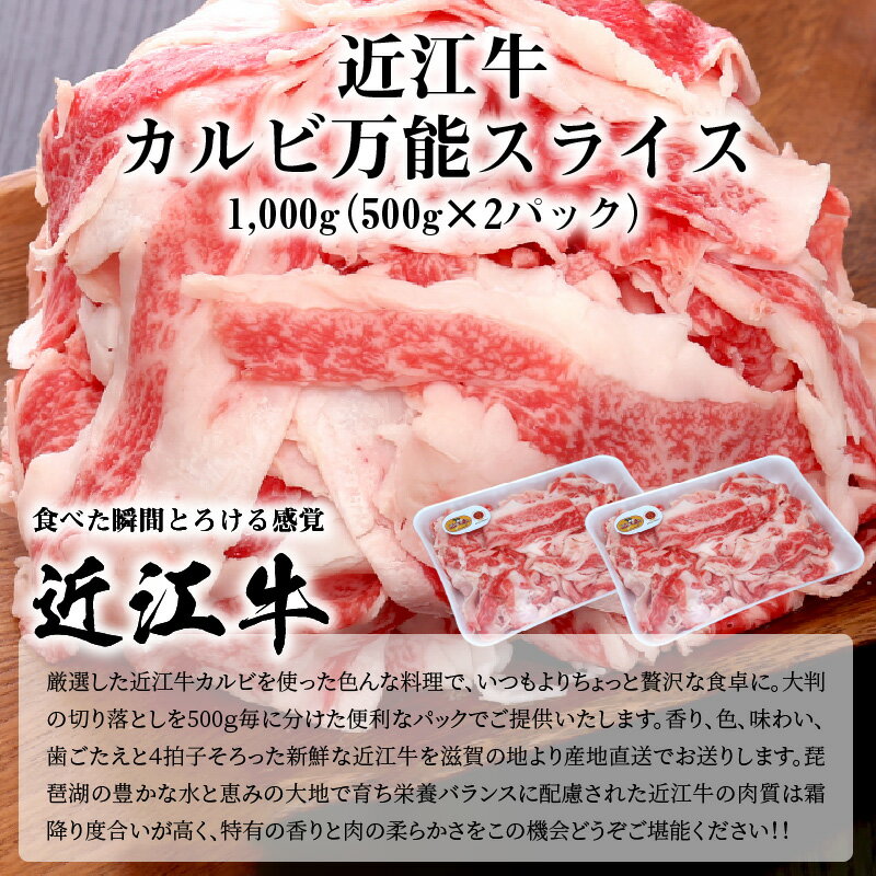 【ふるさと納税】近江牛 カルビ 万能スライス 合計1,000g (500g×2パック) 切り落とし お肉 牛肉 グルメ ブランド牛 食べ物 食品 和牛 誕生日 プレゼント ギフト おすすめ 人気 お取り寄せ 贈り物 特産品 お礼の品 冷凍 国産 送料無料 2