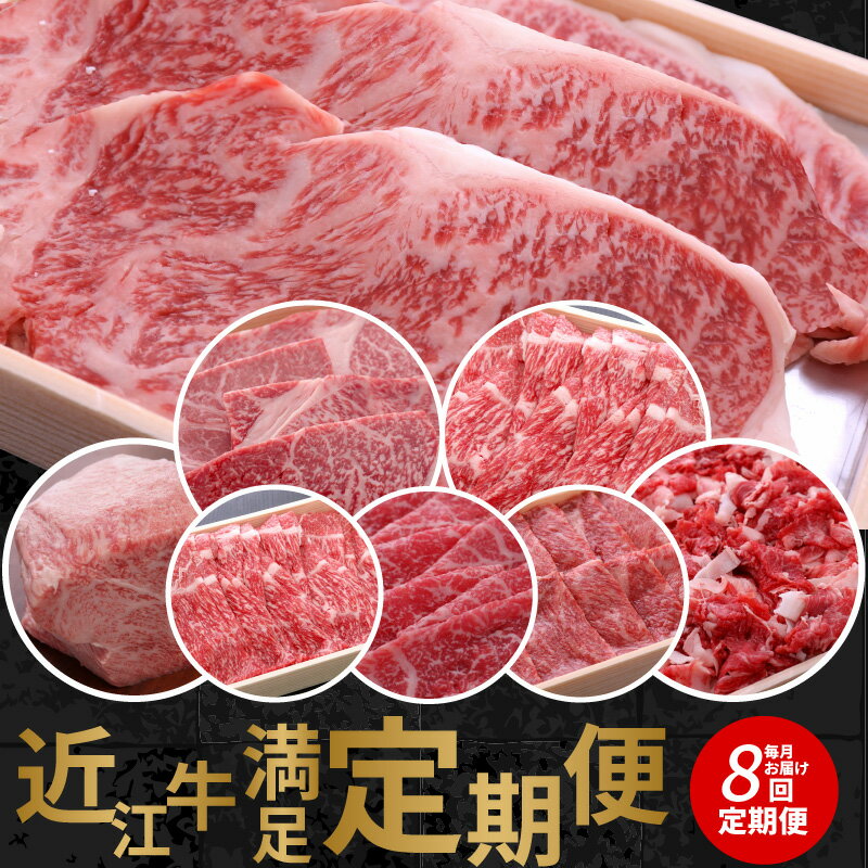 【ふるさと納税】贅沢な肉質と風味 近江牛 人気返礼品8回 すき焼き用 希少部位 赤身 ランプ肉 ステーキ 切り落とし ロース肉 焼肉用 霜降り 特選 モモ肉 ブロック しゃぶしゃぶ用 スライス 牛肉 産地直送 滋賀県 守山市 送料無料