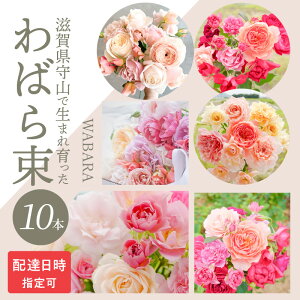 【ふるさと納税】わばら束 10本 配達日時 指定可 摘みたて ブーケ WABARA 和ばら バラ 花束 贈り物 きれい 彩り プレゼント 贈り物 簡易包装 飾り インテリア アレンジ 1輪挿し 丁寧な暮らし 花のある生活 花 フラワー Rose Universe 冷蔵 お取り寄せ 滋賀県 守山市 送料無料