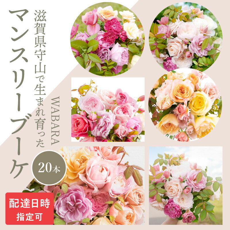 ڤդ뤵ǼǡۥǥѤ ޥ󥹥꡼֡ ֡ « £ʪ WABARA 20 Фλ ٤ ã եȻ...