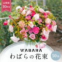 【ふるさと納税】わばら WABARA 花束50本定期便 10回分