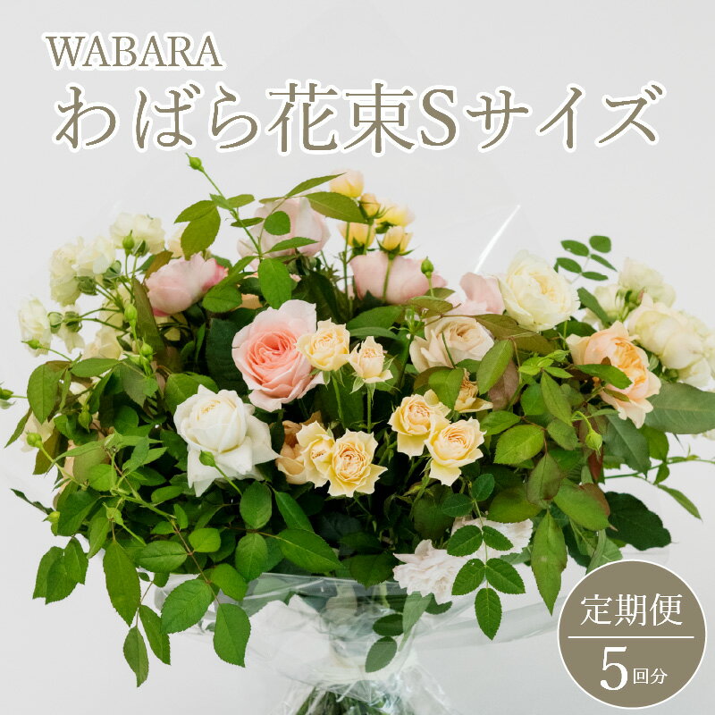 【ふるさと納税】わばら花束定期便 Sサイズ 5回分 Rose Farm KEIJI WABARA 國枝啓司