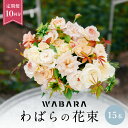【ふるさと納税】わばらの花束 和バラ 花束 定期便 10回 15本 程度 最高鮮度 みずみずしい 花 バラ 植物 フラワー 國枝啓司 プレゼント ギフト 贈り物 お取り寄せ 滋賀県 守山市 送料無料 Rose Farm KEIJI WABARA 國枝啓司