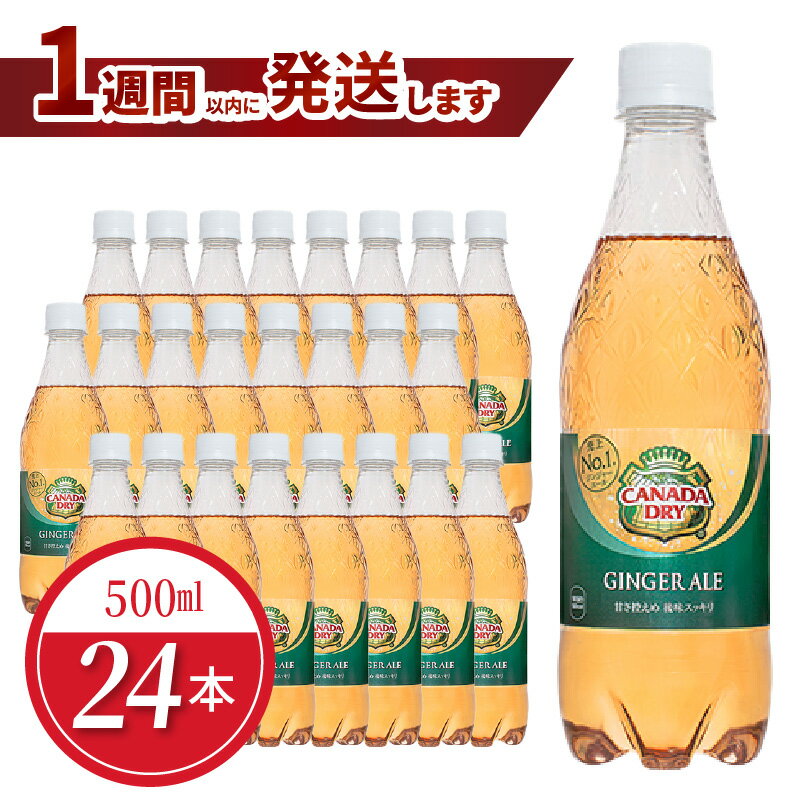 ペットボトル カナダドライ ジンジャーエール 500ml 24本 セット 1ケース 箱 飲料 ドリンク コカ・コーラ ジンジャーエキス 水分補給 常備 保存 買い置き PET 人気 おすすめ お取り寄せ 国産 送料無料