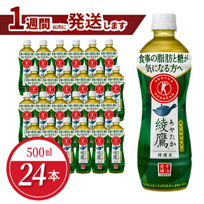 綾鷹 特選茶 PET 500ml（24本入）