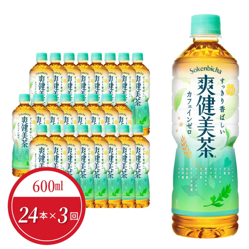 楽天滋賀県守山市【ふるさと納税】【定期便】 3回 爽健美茶 ペットボトル 600ml 24本入 ノンカフェイン カフェインゼロ ブレンド茶 飲料 ドリンク お茶 コカ・コーラ社製品 水分補給 常備 備蓄 保存 買い置き PET リサイクル 滋賀県 守山市 お取り寄せ 送料無料