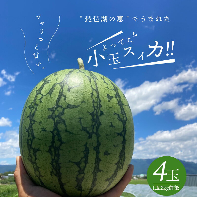 【ふるさと納税】すいか 小玉 1箱 4玉 1玉あたり 2kg 前後 ピノガール 6月下旬から8月下旬まで順次発...