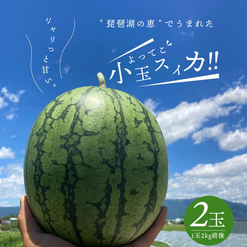 【ふるさと納税】よってこ 小玉 すいか 2kg × 2玉 ピノガール 夏 果物 糖度 高い 甘い ジューシー 食べやすい よってこファーム 箱入り 常温配送 フルーツ デザート 食べ物 果物 おやつ お中元 お土産 お取り寄せ 滋賀県 守山市 送料無料