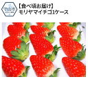【ふるさと納税】【食べ頃お届け】モリヤマイチゴ1ケース【滋賀...