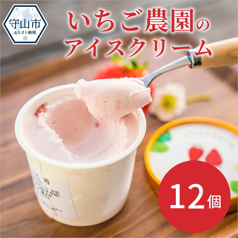 【ふるさと納税】数量限定！いちご農園のアイスクリーム12個パック【滋賀県守山市】