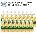 【ふるさと納税】カナダドライジンジャーエール 500mlPE