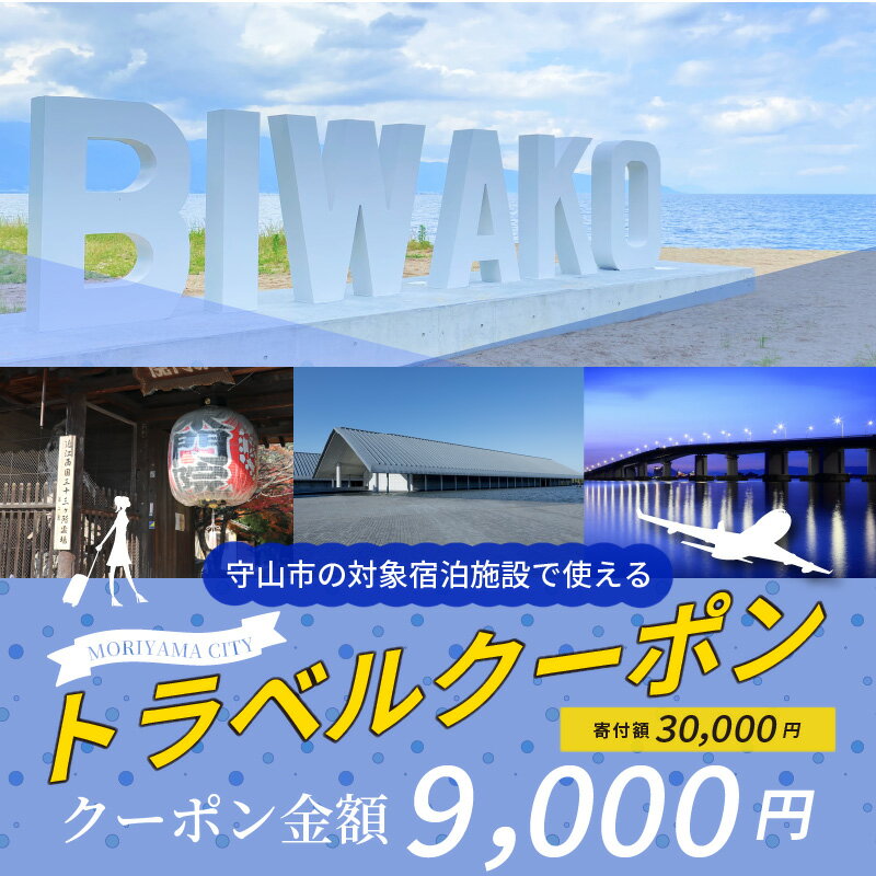 【ふるさと納税】滋賀県守山市の対象施設で使える楽天トラベルクーポン 寄付額30,000円 寄付 ホテル 旅館 宿泊予約 旅行 予約 宿泊 連泊 観光 国内 旅行クーポン 宿泊券 旅行券 チケット 春 夏 秋 冬 ビジネスその2