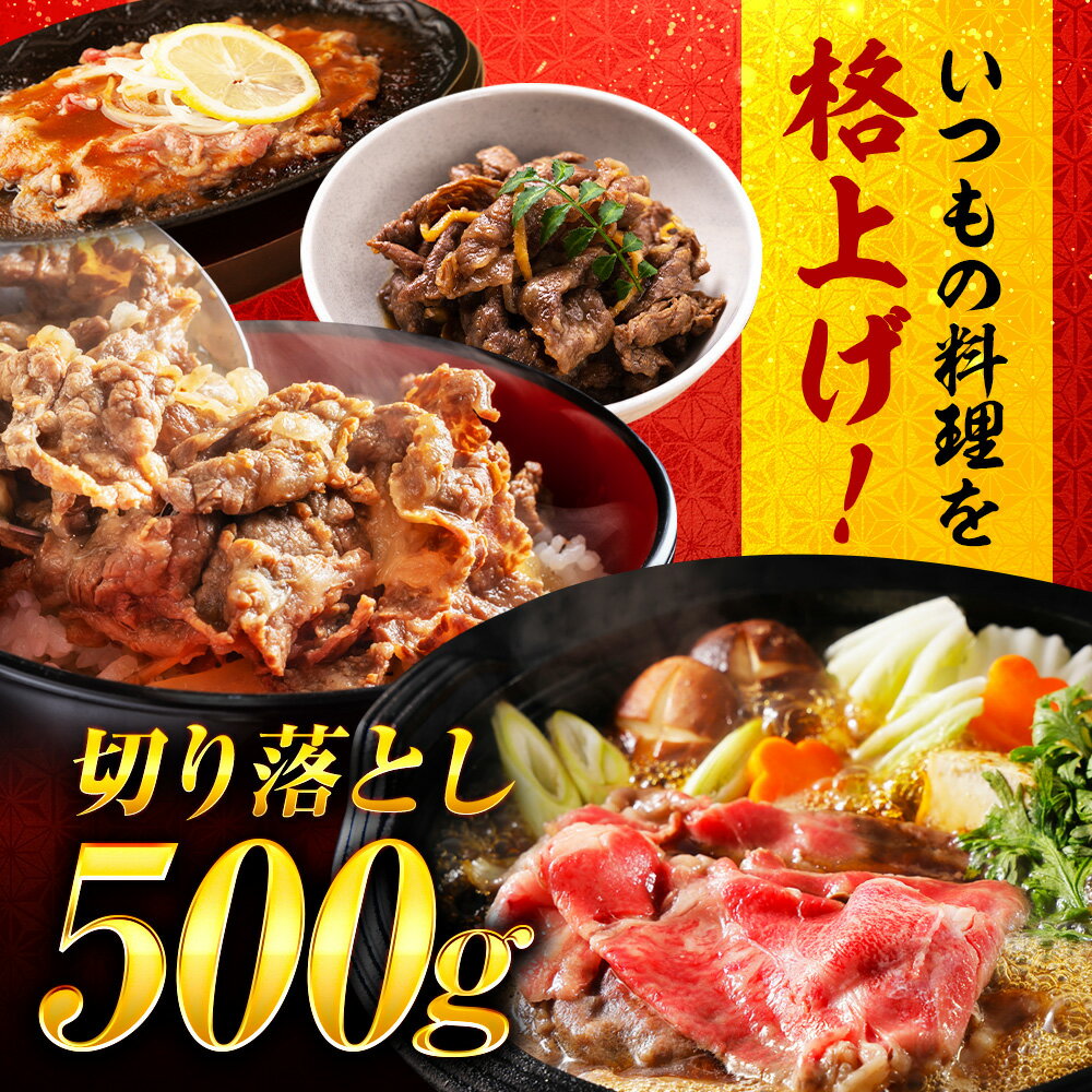 【ふるさと納税】近江牛 すき焼き用 切り落し 500g / 牛肉 a5 すき焼き 近江牛肉 すきやき 肉 赤身 霜降り 鍋 ロース 黒毛和牛 和牛 牛 すきやき肉 国産牛 切落とし a5肉 ふるさと納税 10000円 冷凍 便利 小間切れ こま切れ 滋賀県 / 栗東市 / 元三フード株式会社[BIBH005]