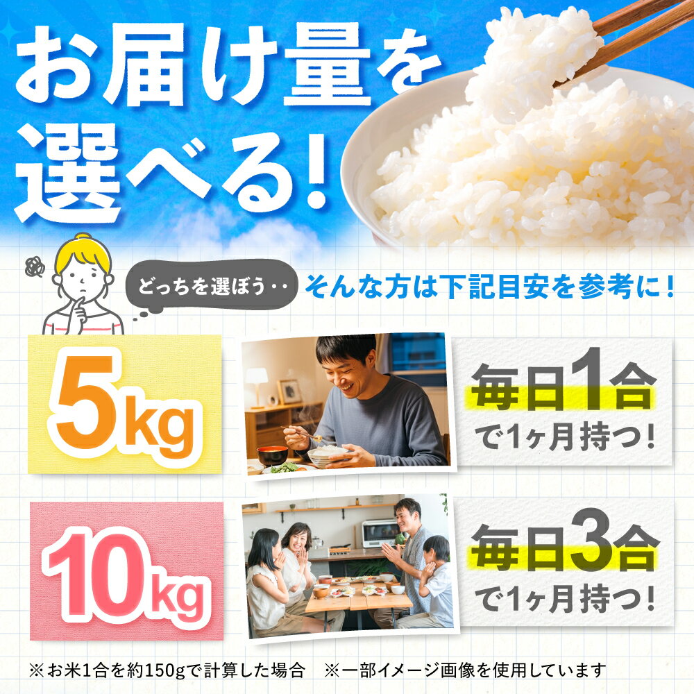 【ふるさと納税】【選べる容量】令和7年度産 栗東産 特別栽培米 コシヒカリ / ご飯 ごはん ゴハン お米 米 令和7年産 / 栗東市 / レーク滋賀農業協同組合[BIBV004]