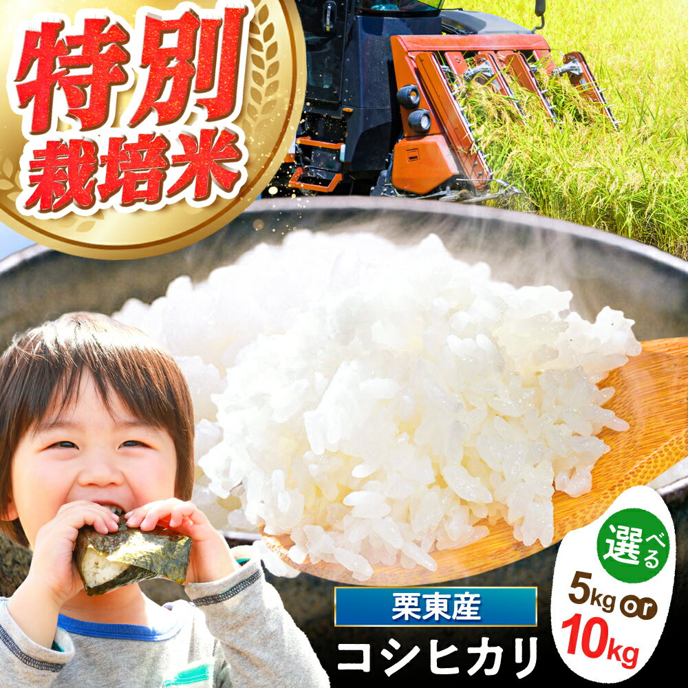 【ふるさと納税】【選べる容量】令和7年度産 栗東産 特別栽培米 コシヒカリ / ご飯 ごはん ゴハン お米 米 令和7年産 / 栗東市 / レーク滋賀農業協同組合[BIBV004]
