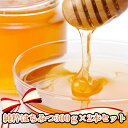 【ふるさと納税】純粋はちみつ300g×2本セット 蜂蜜 はちみつ 国産 天然100% まろやか 甘み コク