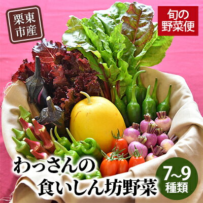 和らぎ農法 わっさんの食いしん坊野菜 栗東市産 旬の野菜便 [ 野菜セット 野菜の詰合せ 旬の野菜セット 旬の野菜詰め合わせ 露地栽培 ベジタブル 国産 食材 料理 調理 食事 お楽しみ ]