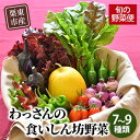 【ふるさと納税】和らぎ農法　わっさんの食いしん坊野菜　栗東市