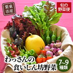 【ふるさと納税】和らぎ農法　わっさんの食いしん坊野菜　栗東市産　旬の野菜便　【 野菜セット 野菜の詰合せ 旬の野菜セット 旬の野菜詰め合わせ 露地栽培 ベジタブル 国産 食材 料理 調理 食事 お楽しみ 】