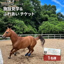 【ふるさと納税】TCCセラピーパーク施設見学＆ ふれあい チケット (1名様分) 馬 ホース ウマ 体験 セラピー　【 体験チケット 体験型 動物 ホースシェルター ふれあい体験 おでかけ 】