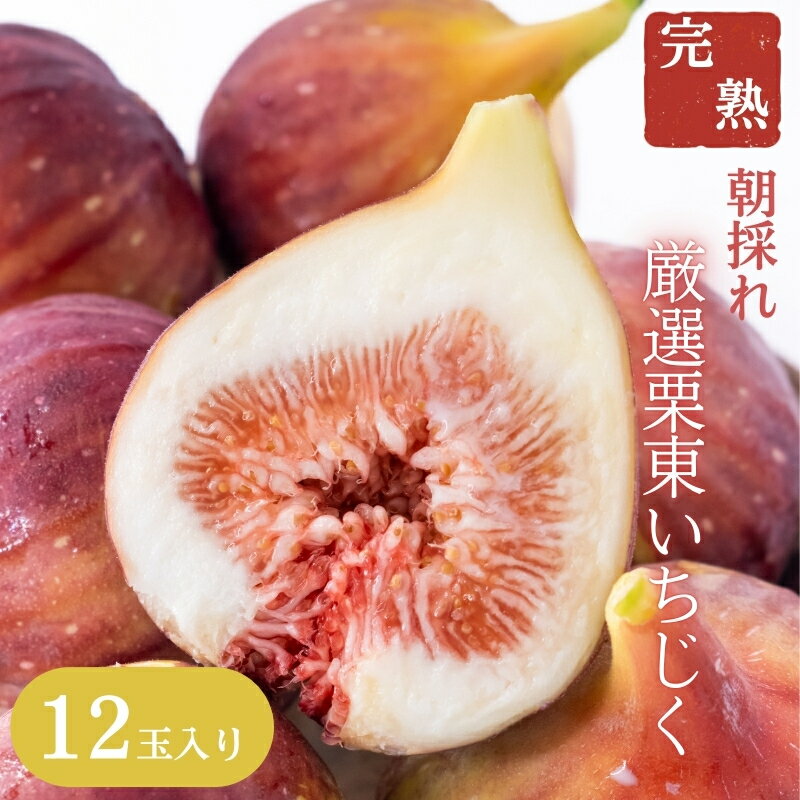 【ふるさと納税】【先行予約受付中】厳選!完熟 栗東いちじく 12玉入り 2025年7月末より順次出荷 | 朝採れ ハウス栽培 果物 いちじく いちぢく 無花果 イチジク 完熟 生 先行予約 滋賀県 栗東市 お届け:2025年8月~10月中旬頃