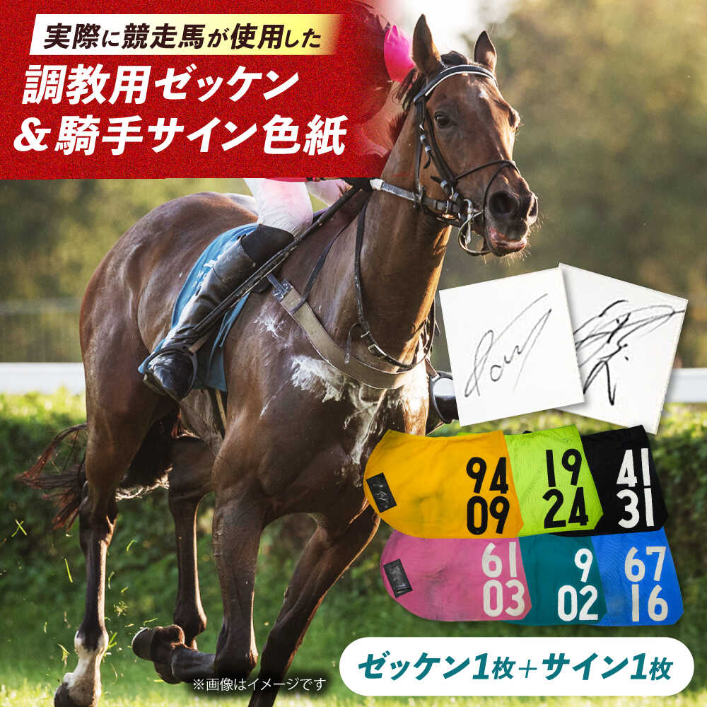 【ふるさと納税】【JRA/日本中央競馬会】数量限定！調教用ゼッケンと騎手サイン色紙 （栗東カラー）/ ..