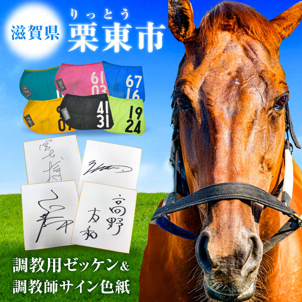樂天商城 - 【ふるさと納税】【JRA/日本中央競馬会】調教用ゼッケンと調教師サイン色紙 （栗東カラー）/ 競馬 競走馬 馬 競馬グッズ 騎手 JRA トレセン ウマ / 栗東市 / 栗東市役所[BIAM006]