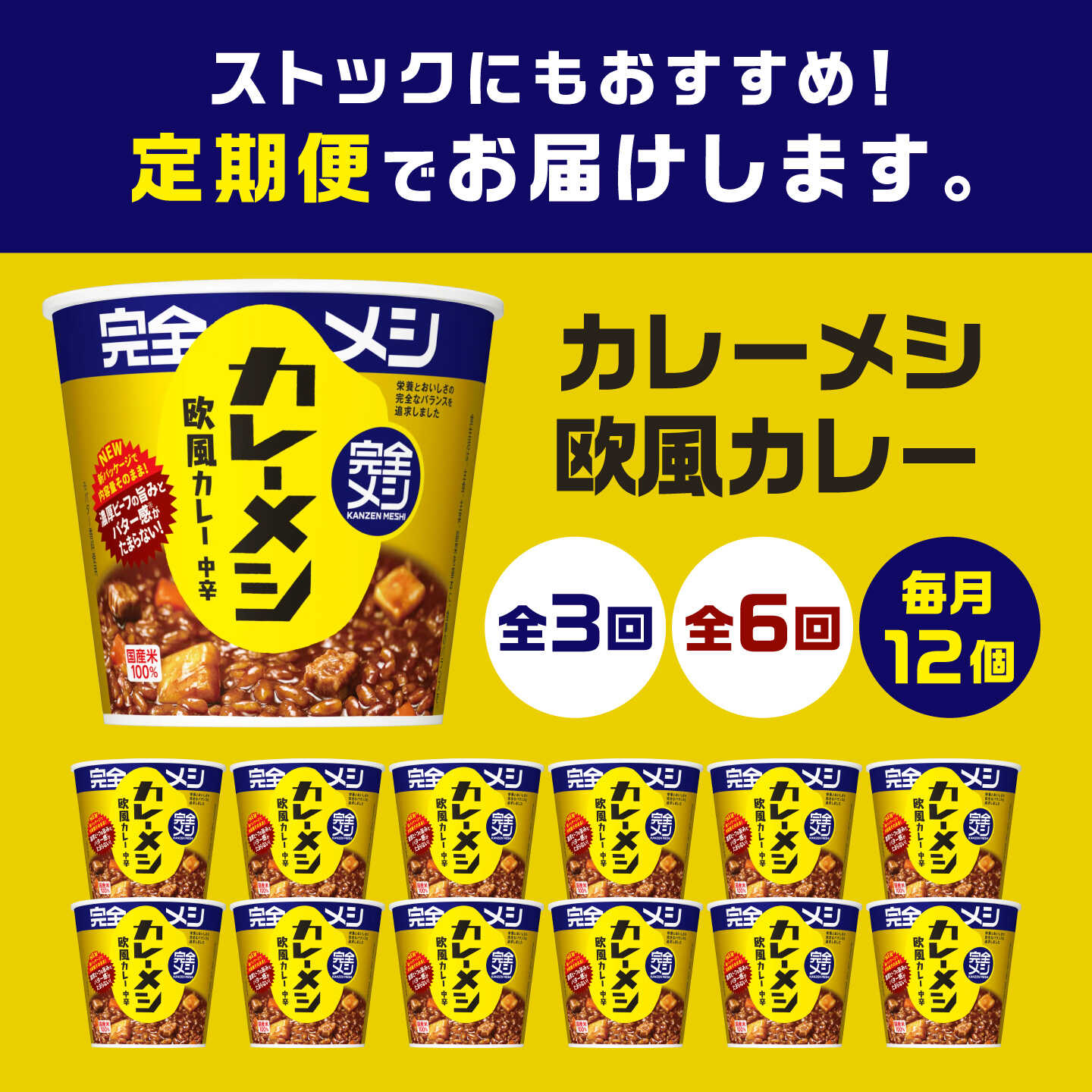 【ふるさと納税】【選べる定期便回数】完全メシ カレーメシ 欧風カレー 2ケース 計12食 / 完全飯 カレーライス 常温 保存 カップ飯 非常食 保存食 備蓄 日清食品 ローリングストック 新生活 仕送り スパイス 即席 まとめ買い 定期便 / 栗東市 / 日清食品株式会社[BIBI034]