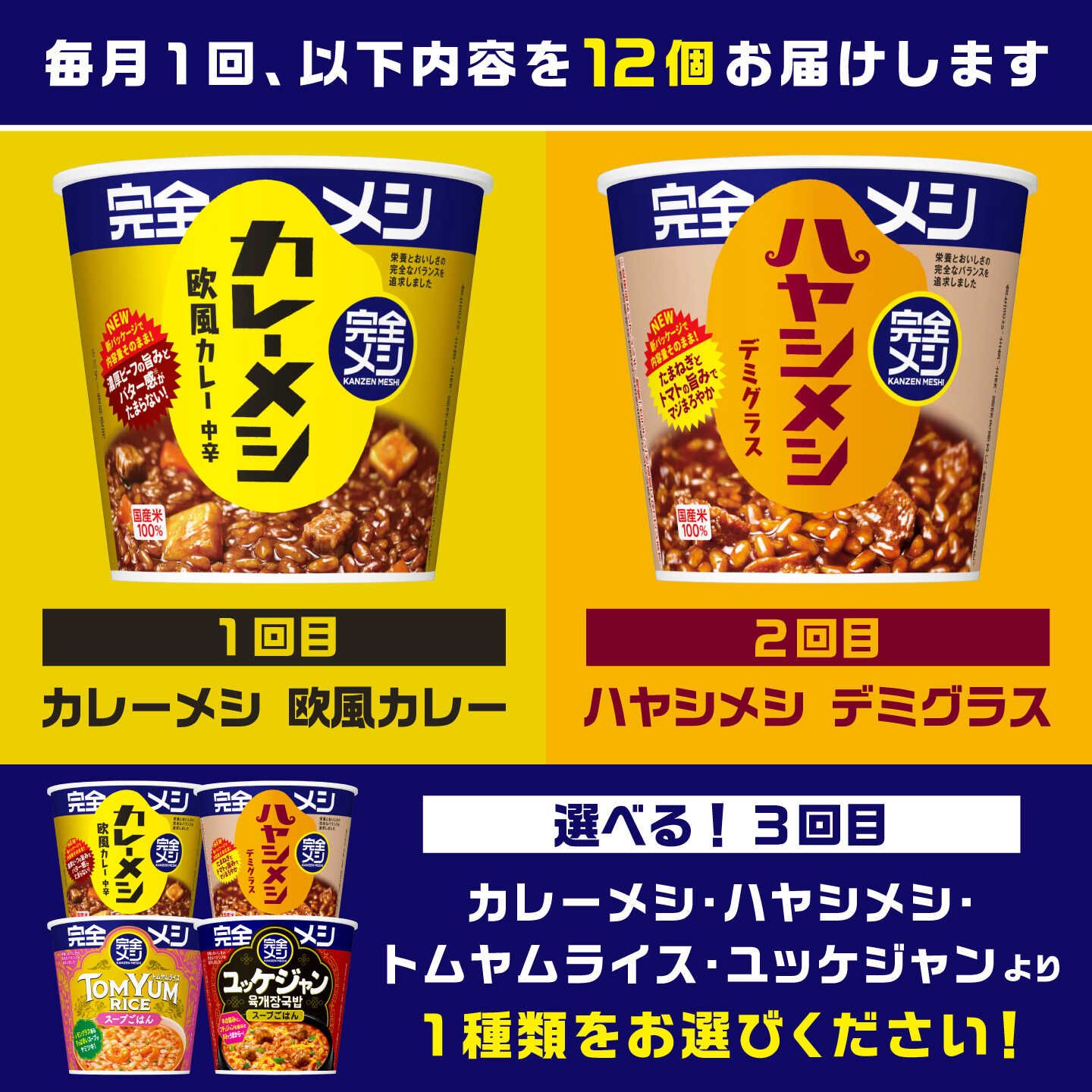 【ふるさと納税】【3回定期便】完全メシバリエーション定期便（欧風カレー・ハヤシメシ デミグラス）/ 日清食品 カップ飯 カレーライス ハヤシライス 常温 保存 非常食 保存食 備蓄 仕送り アソート まとめ買い 3ヶ月 定期便 / 栗東市 / 日清食品株式会社[BIBI042]
