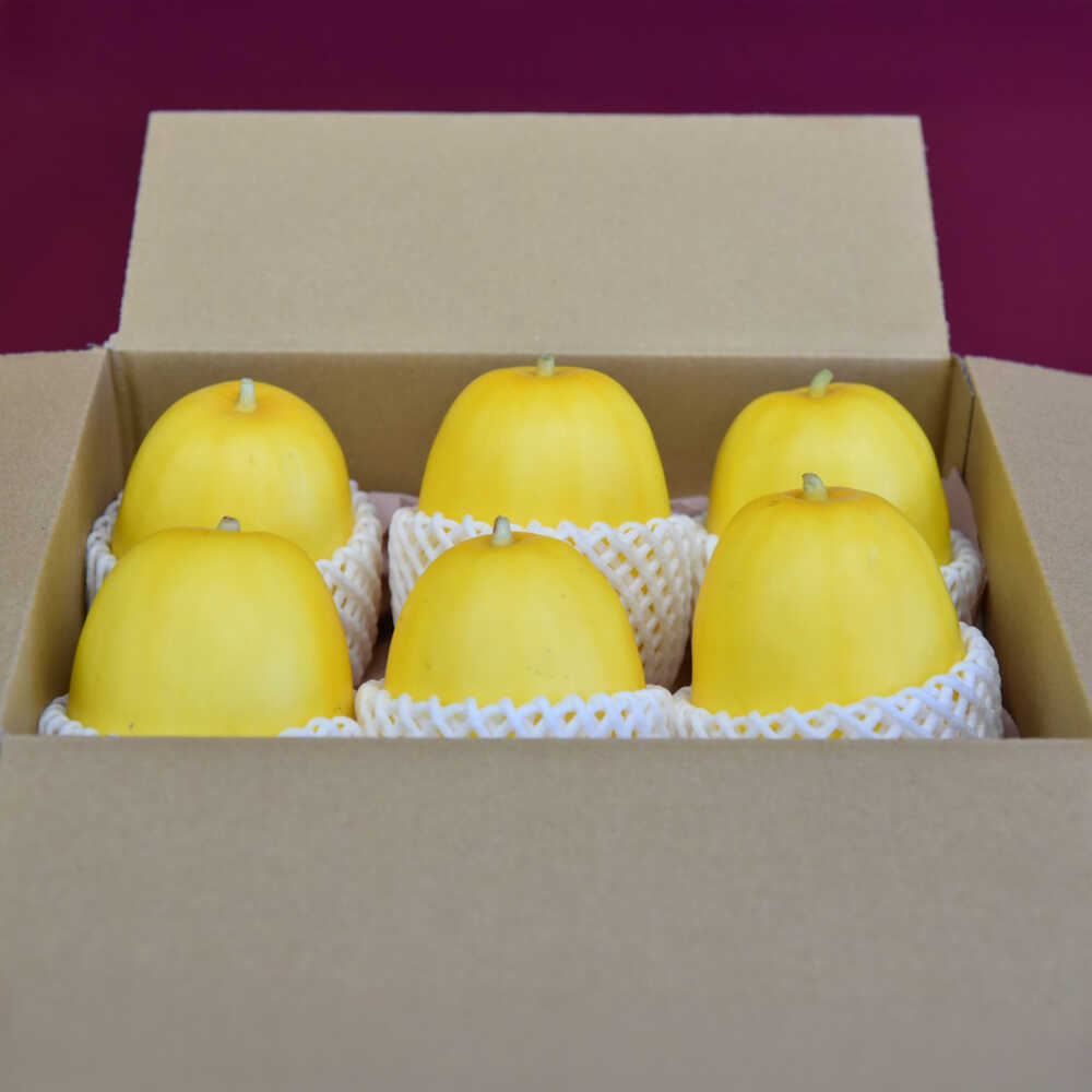 【ふるさと納税】【2026年7月下旬より順次発送】旬の野菜 金のまっか便（栽培期間中、農薬・化学肥料・動物性堆肥不使用）/ まくわうり セット 詰め合わせ 新鮮 野菜 旬 / 滋賀県 栗東市 / ワダケン リアルソイルハウス[BIBM005]