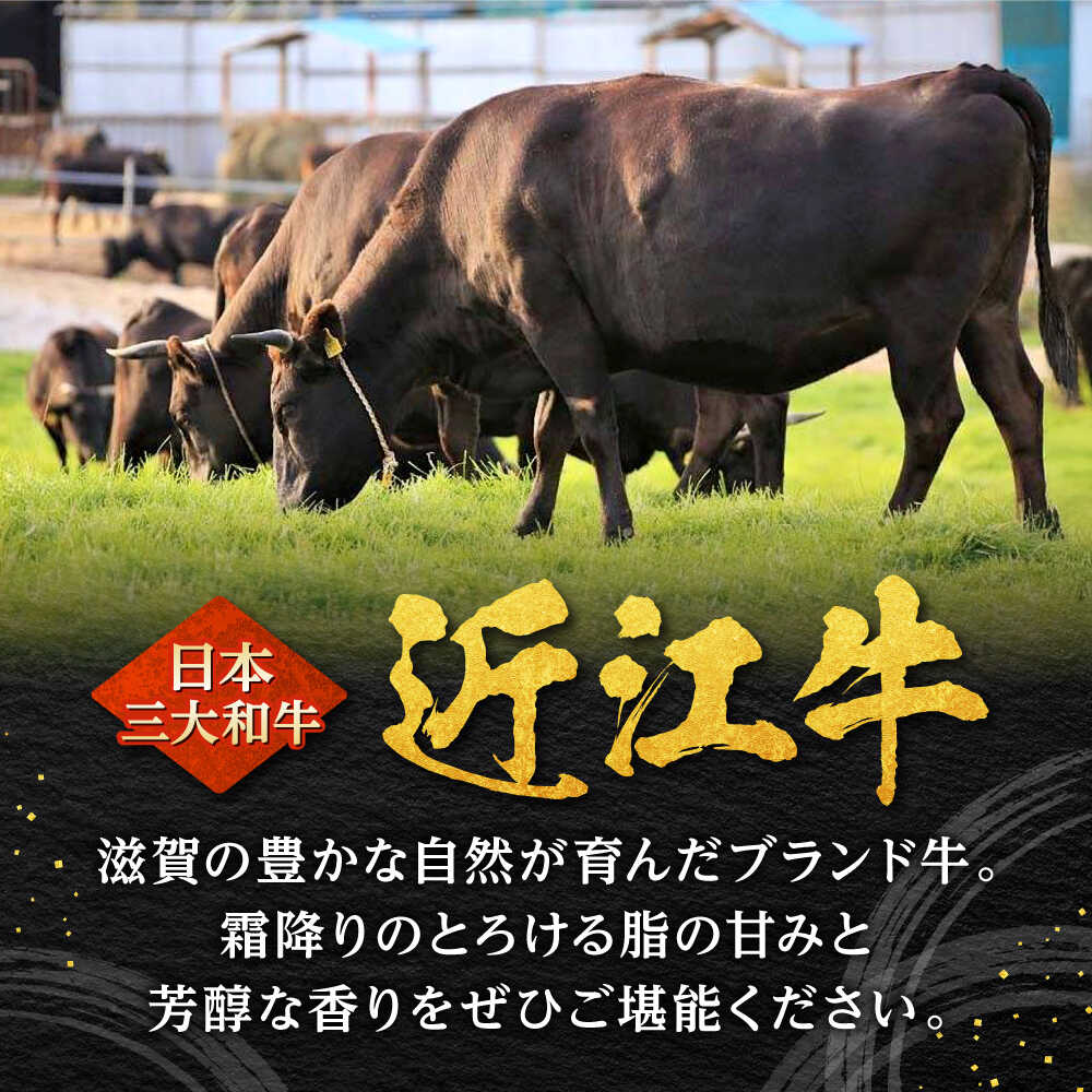 【ふるさと納税】近江牛 霜降りスライス 800g 焼肉すだく / 牛肉 すき焼き 近江牛肉 すきやき 肉 霜降り 鍋 黒毛和牛 和牛 牛 国産牛 ブランド牛 グルメ すきやき肉 高級肉 しゃぶしゃぶ ギフト 贈り物 贈答 プレゼント / 栗東市 / 株式会社総合近江牛商社[BIBX005] f252085-ritto-10000397 滋賀県栗東市 サンプル画像2