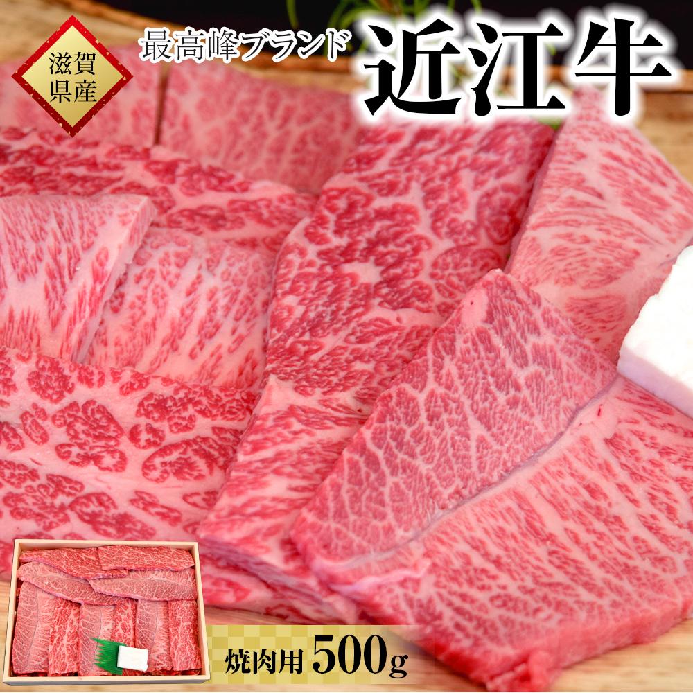 肉 牛肉 近江牛 焼肉 500g | お肉 滋賀 高級 ブランド 黒毛和牛 焼き肉 やきにく ギフト 冷蔵 人気 おすすめ BBQ バーベキュー アウトドア キャンプ 国産 着日指定必須