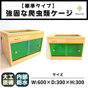 【ふるさと納税】【歴40年大工監修】強固な爬虫類ケージ(グリーン)60×30×30cm | 返礼品 爬虫類 ゲージ 木製 小型 人気 おすすめ 送料無料
