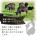 滋賀県甲賀市の画像3