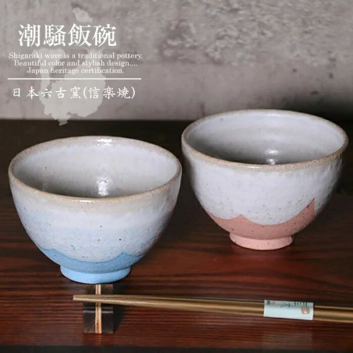 【ふるさと納税】【ペアセット】信楽焼 潮騒（ブルー・ピンク）飯碗 お茶碗