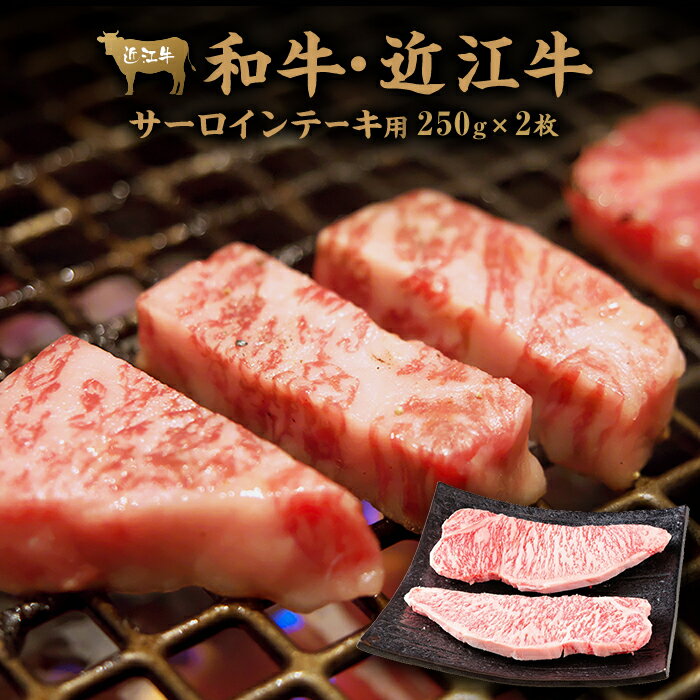 肉 牛肉 近江牛 サーロイン ステーキ 500g ( 250g × 2枚 ) | お肉 滋賀 高級 ブランド 黒毛和牛 ギフト 美味しい 冷凍 人気 おすすめ 国産