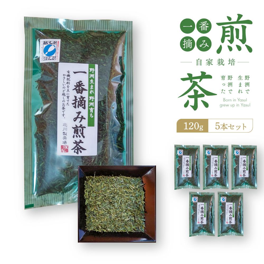 野洲生まれ 野洲育ち自家栽培 一番摘み煎茶120g 5本セット | お茶 緑茶 近江銘茶 飲料 茶葉 ソフトドリンク 人気 おすすめ 送料無料