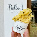 【ふるさと納税】【無添加・無着色】手作り ジェラート リッチアソート A | お菓子 菓子 おかし スイーツ デザート 食品 無添加 無着色 人気 おすすめ 送...
