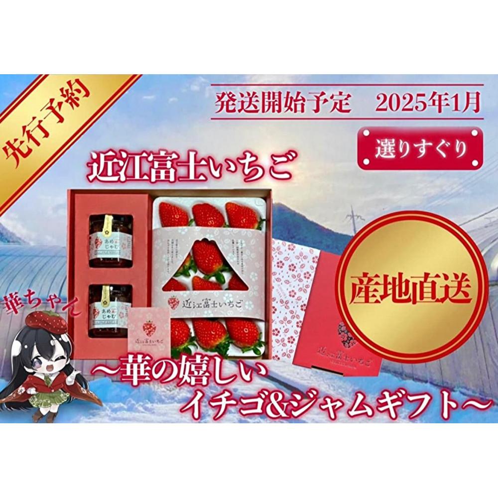 【ふるさと納税】先行予約『近江富士いちご』選りすぐり!華の嬉しいイチゴ&ジャムギフト【イチゴ9~15粒1トレイ&ジャム2瓶】