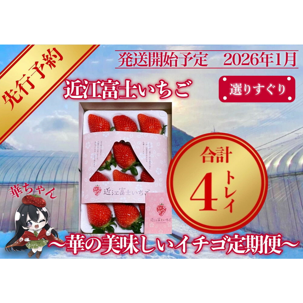 先行予約『近江富士いちご』選りすぐり!華の美味しいイチゴ定期便[9~15粒1トレイ×4回]