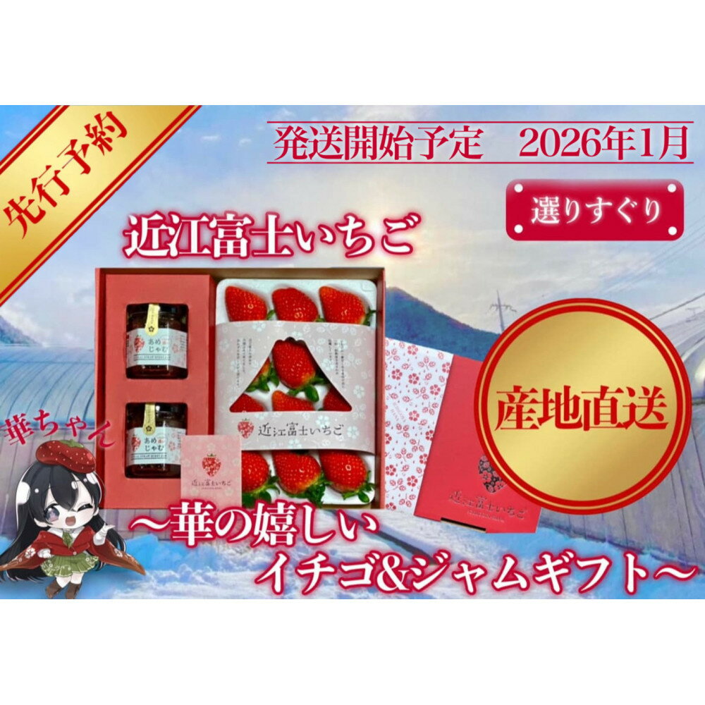 先行予約『近江富士いちご』選りすぐり!華の嬉しいイチゴ&ジャムセット[イチゴ9~15粒1トレイ ジャム2瓶]