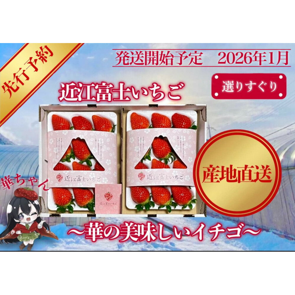 先行予約『近江富士いちご』選りすぐり!華の美味しいイチゴ[9~15粒2トレイ]