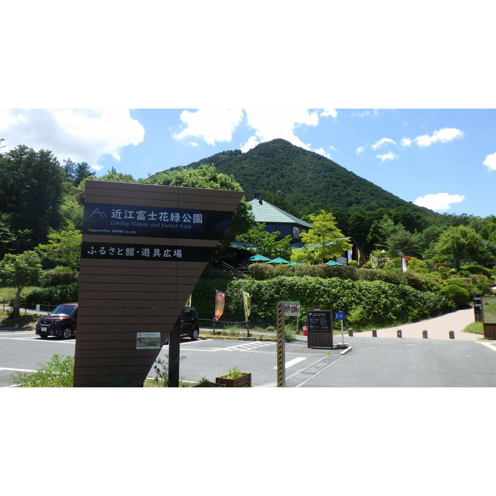 近江富士花緑公園 ロッジ 1棟貸切利用(対象:滋賀県にお住まいの方(野洲市民様は対象外)) | 宿泊 チケット 人気 おすすめ