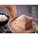【ふるさと納税】近江米 こしひかり 7kgセット 【お米・精...