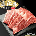 近江牛 【ふるさと納税】【A4等級以上の牝牛のみ使用！！】近江牛カルビ焼肉用600g　【バラ(カルビ)・お肉・牛肉・焼肉・バーベキュー】